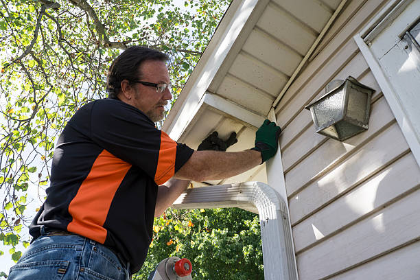 Affordable Siding Repair and Maintenance Services in Bremen, GA